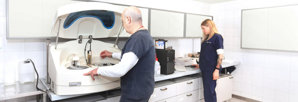 clinica veterinaria parabiago analisi di laboratorio