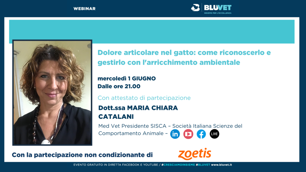 CATALANI DOLORE ARTICOLARE GATTO ARRICCHIMENTO AMBIENTALE
