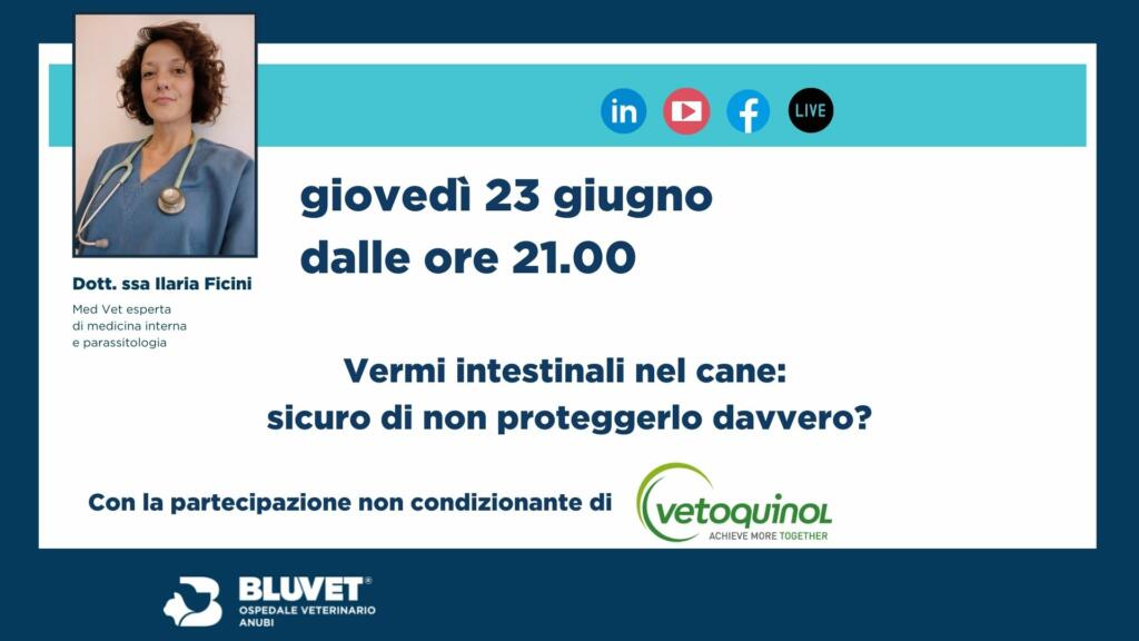 WEBINAR 2022 vetoquinol cane