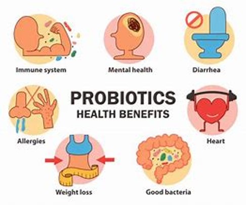 funzione dei probiotici
