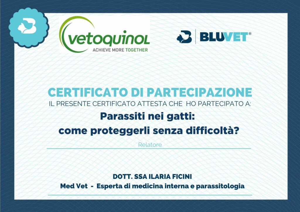 parassiti del gatto dott ssa Ilaria Ficini