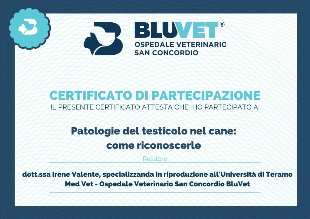 patologie del testicolo nel cane Dott ssa Irene Valente