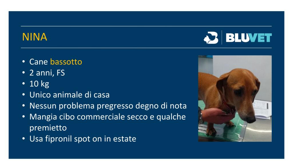 come fare diagnosi di prurito nel cane (1)