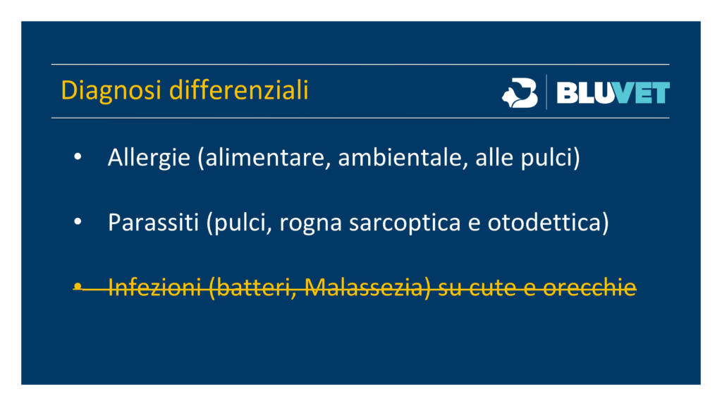 come fare diagnosi di prurito nel cane (23)