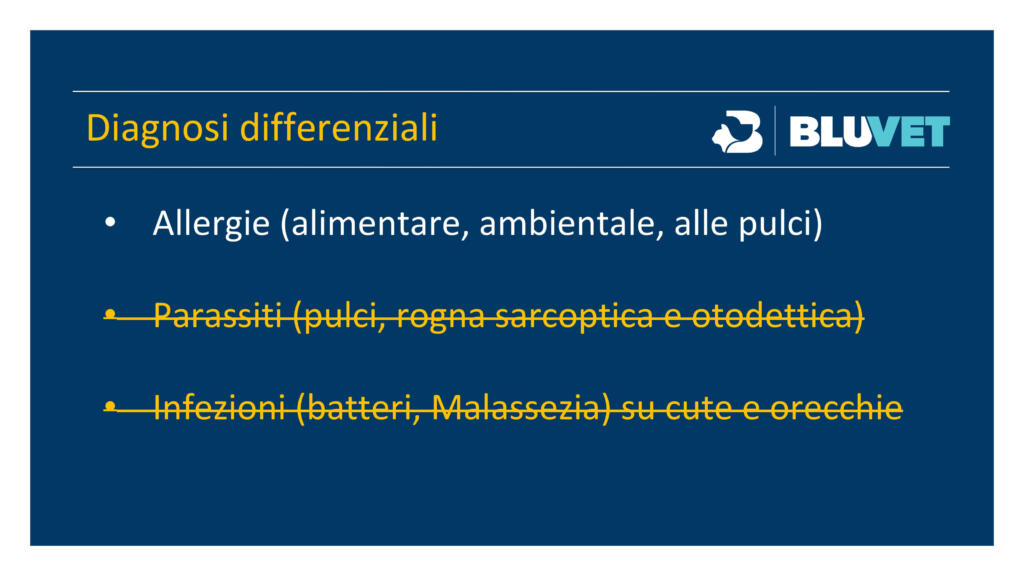 come fare diagnosi di prurito nel cane (27)