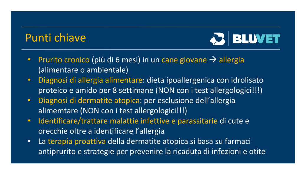 come fare diagnosi di prurito nel cane (41)