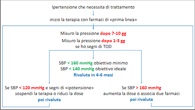 come scegliere il trattamento in caso di ipertensione felina 5