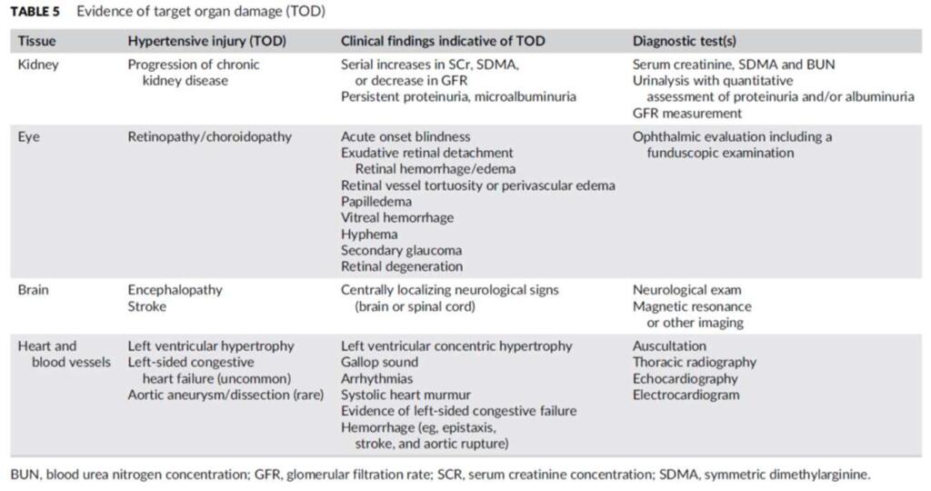danni agli organi target per ipertensione