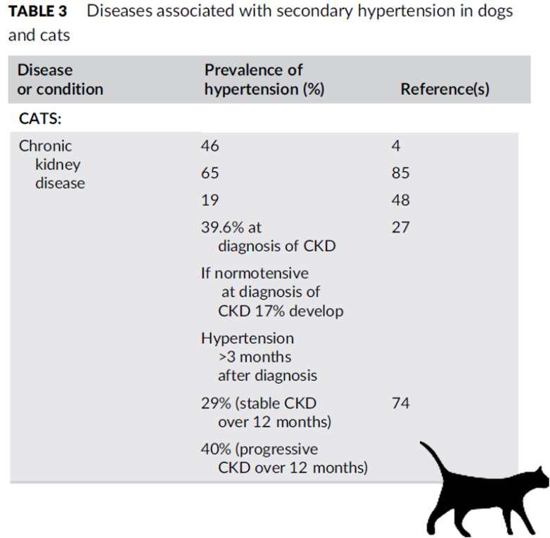 Cause di ipertensione nel cane e gatto