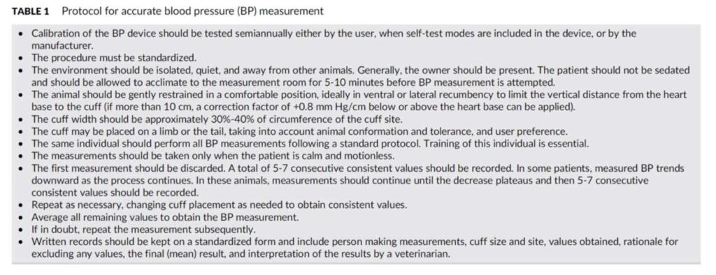 protocollo di misurazione della pressione nel gatto