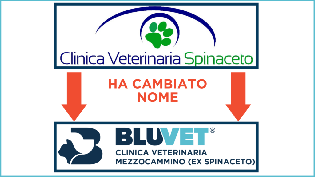 HA CAMBIATO NOME