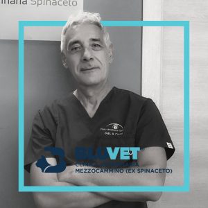 Picture of Alberto Cerbini