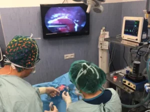 endoscopia clinica veterinaria mazzocammino ex spinaceto roma euro