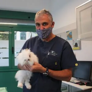 visita animali non convenzionali clinica veterinaria mezzocammino ex spinaceto