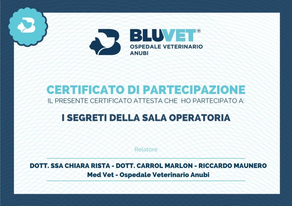 ATTESTATO DIETRO LE QUINTE SALA OPERATORIA