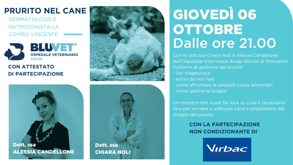 NOLI E CANDELLONE
