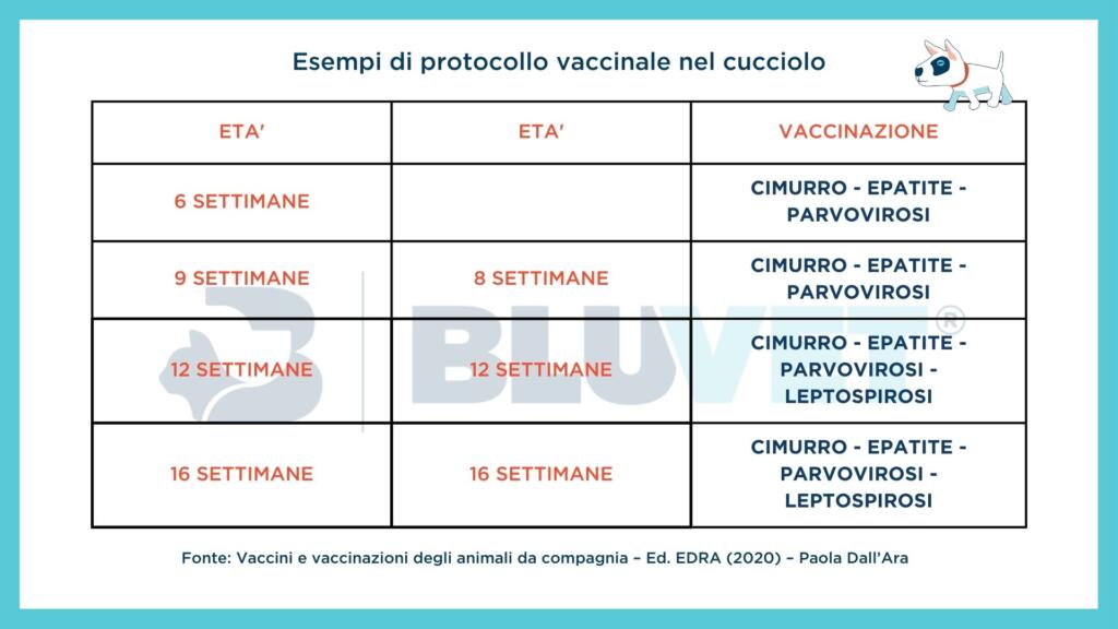 PROTOCOLLI VACCINALI CUCCIOLO