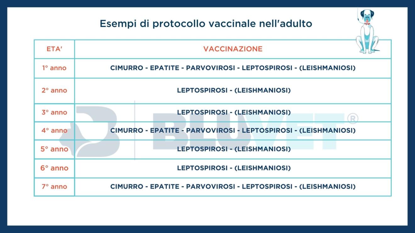 vaccino per epatite a nome commerciale