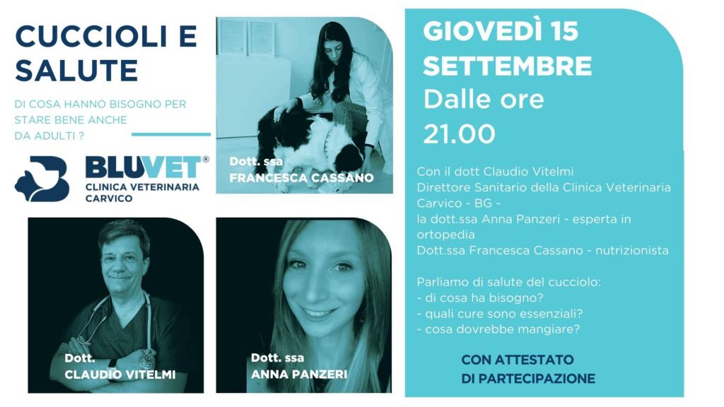 cuccioli e piani di salute