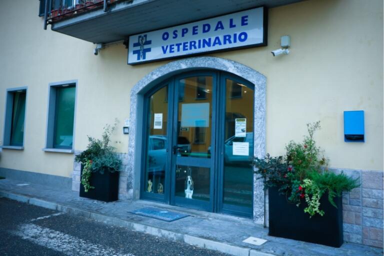 iNGRESSO cLINICA vETERINARIA OLTREPO