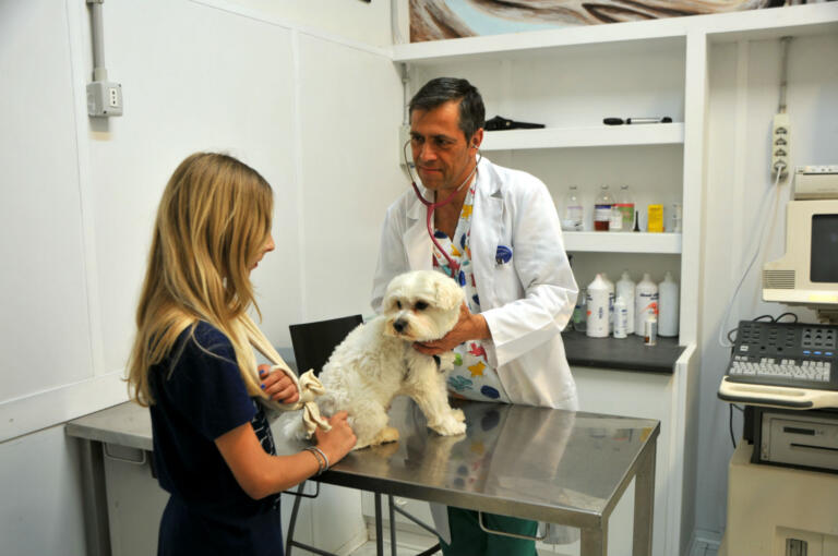 clinica veterinaria prenestina servizi visite specialistiche