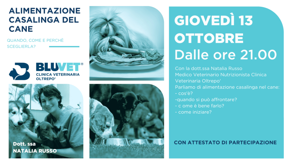 alimentazione casalinga del cane