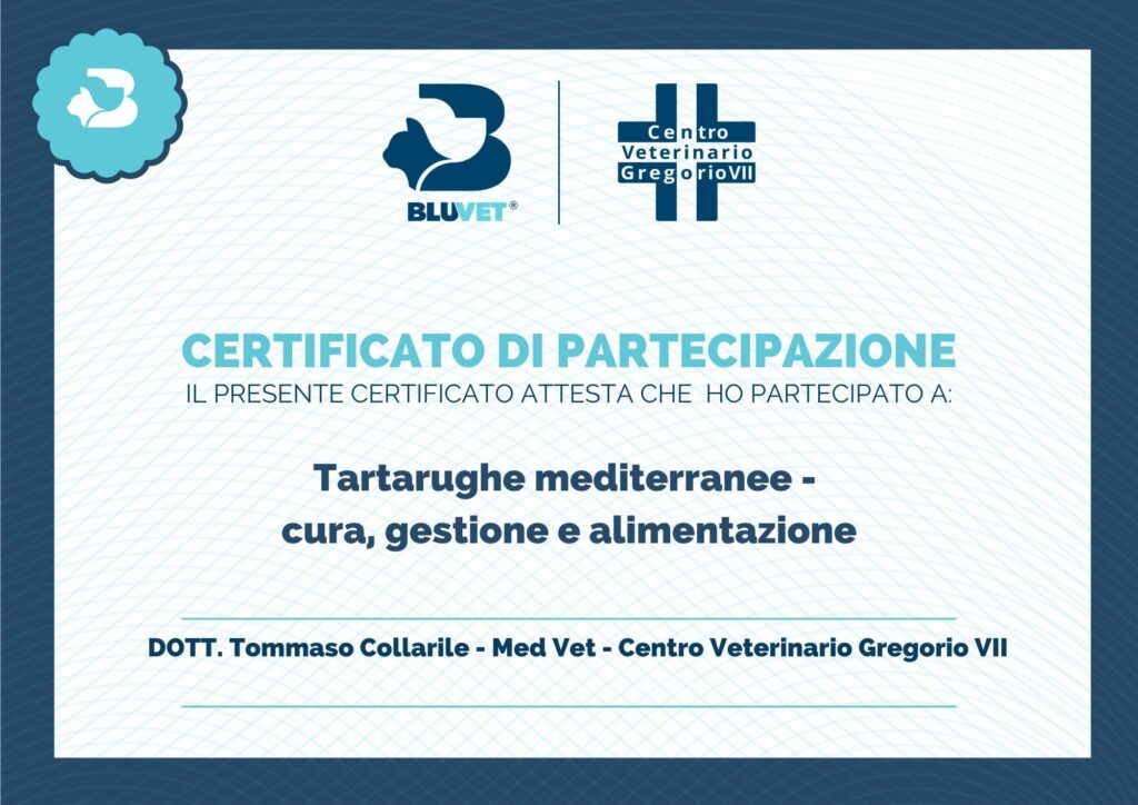 attestato partecipazione tartarughe e gestione
