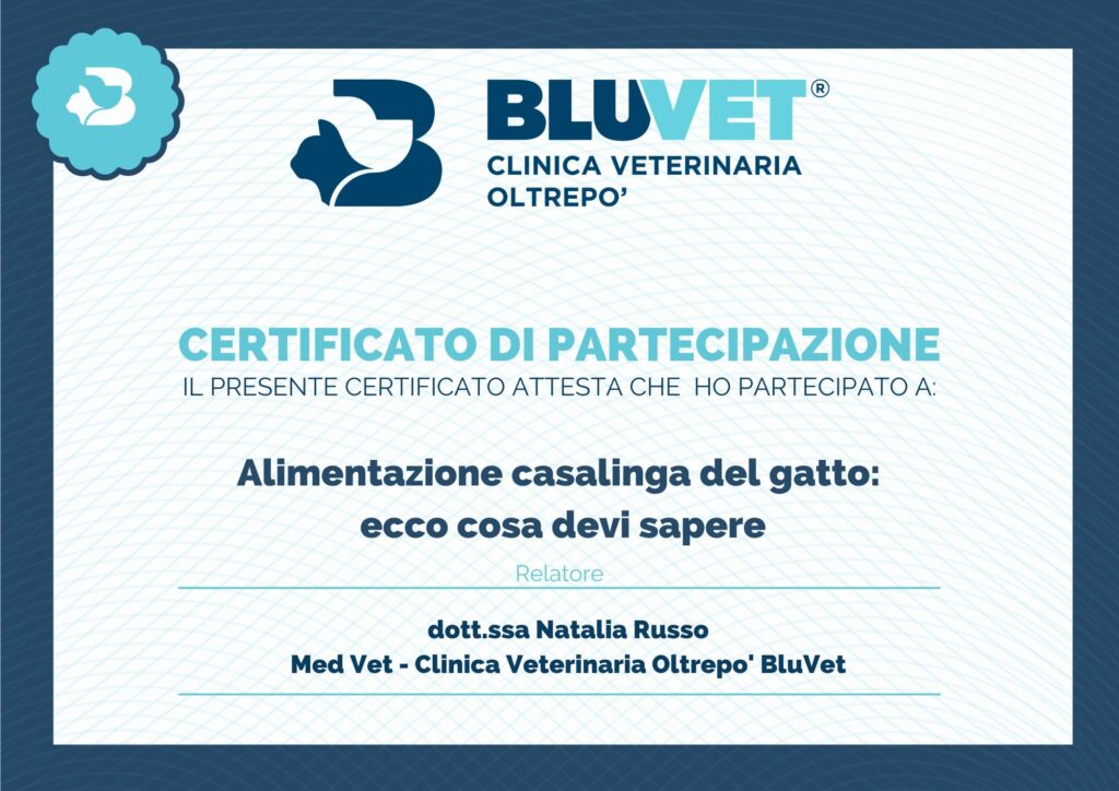 dieta casalinga del gatto