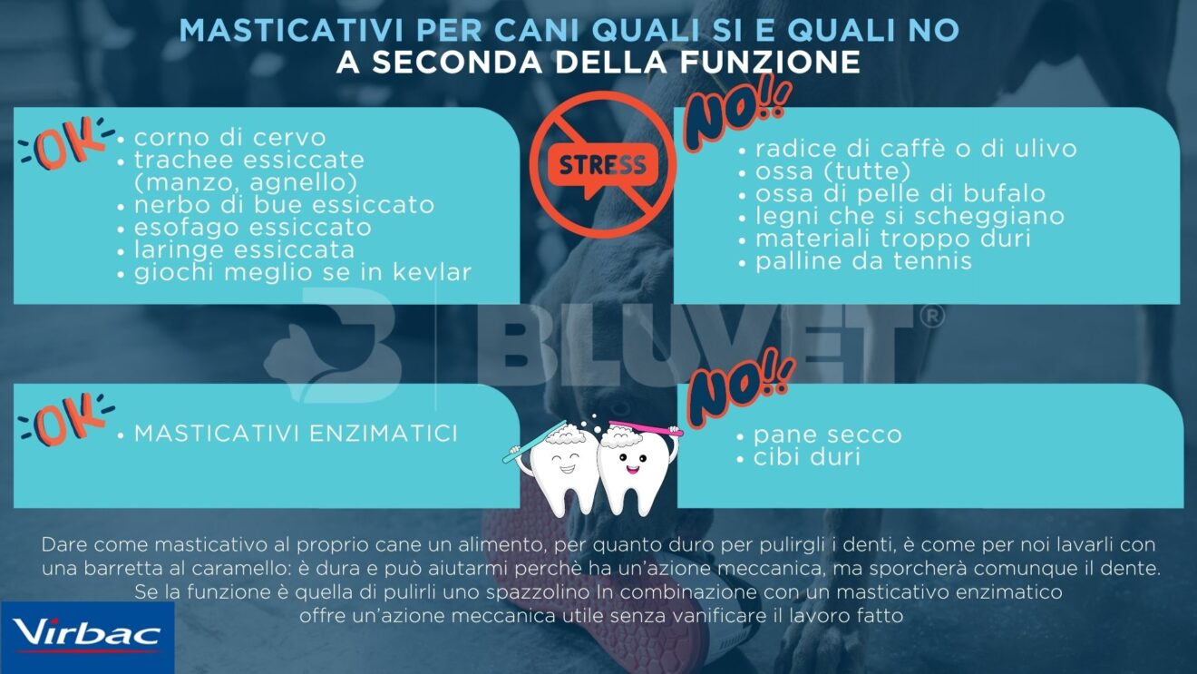 Masticativi per il cane: quali usare e quali no