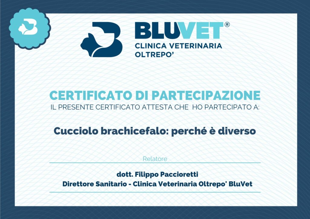 brachicefali certificato Paggioretti