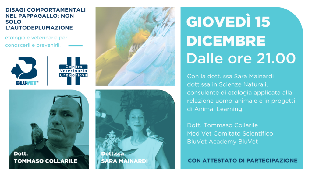 disagi comportamentali nei pappagalli