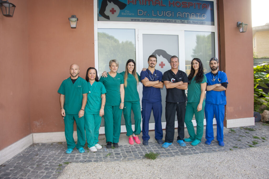 Ambulatorio Veterinario Animal Hospital Velletri