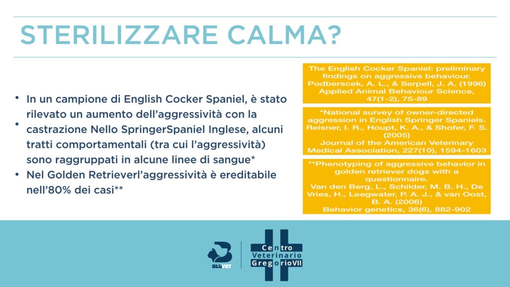 Sterilizzare il cane potrebbe aumentare aggressività