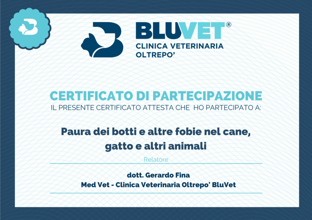 attestato paura dei botti