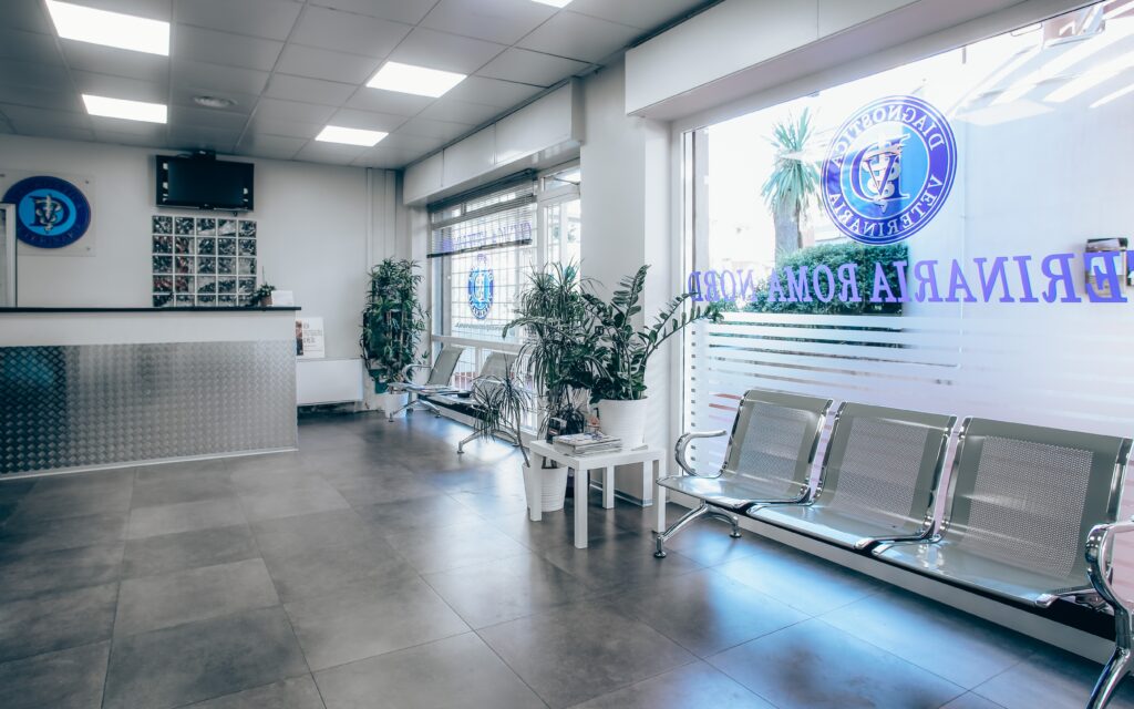 ingresso Clinica Veterinaria Diagnostica Veterinaria Roma Nord