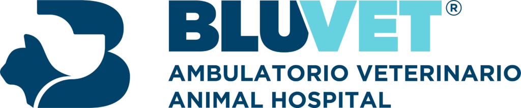 total bluvet animal hospital