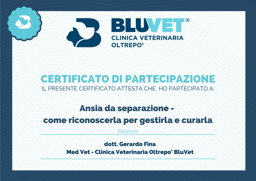 Ansia da separazione attestato di partecipazione