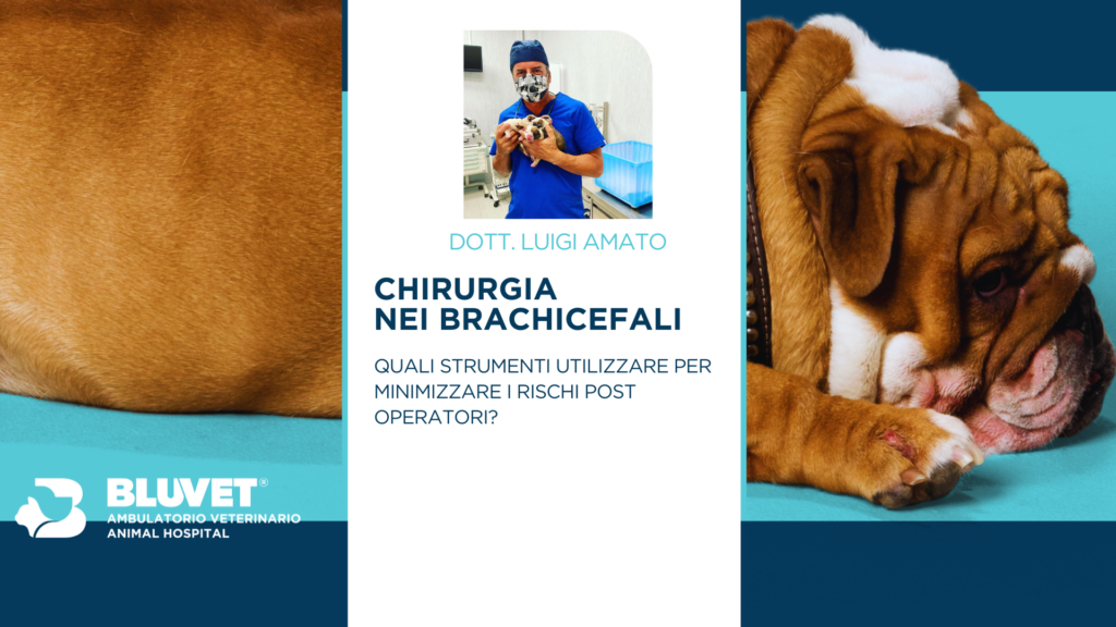 CHIRURGIA EVENTO FACEBOOK
