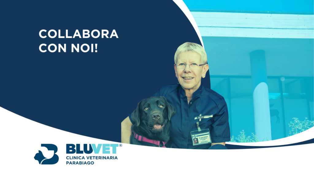 NUOVA JOB vetmed
