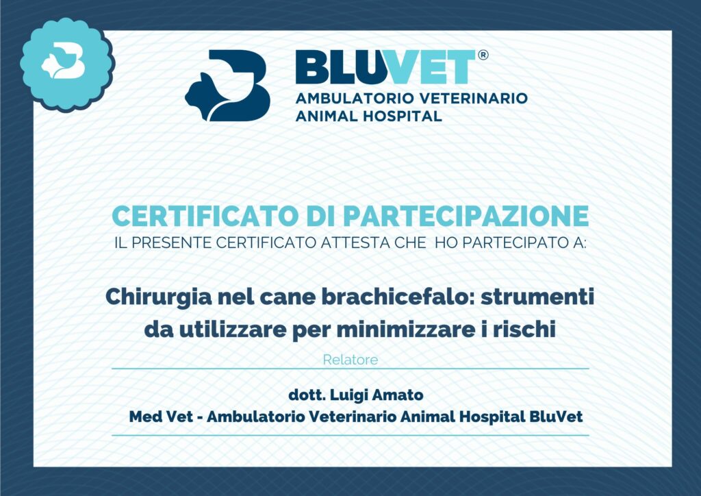certificato chirurgia brachicefali