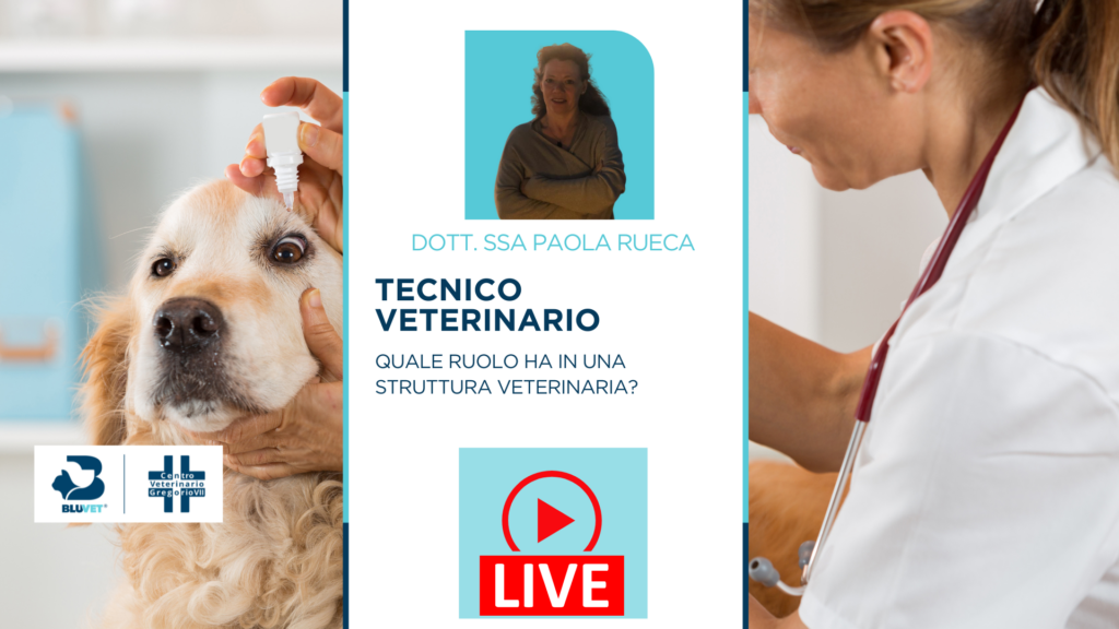 copertina senz qr ruolo tecnico veterinario