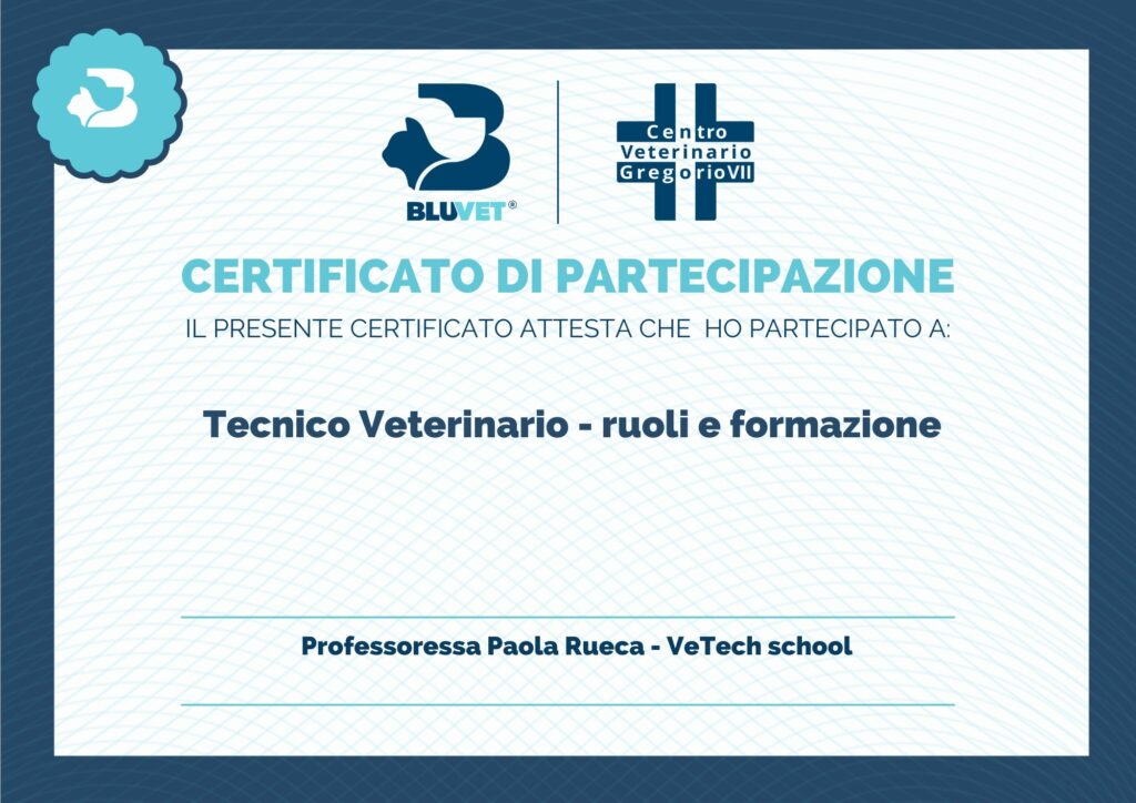 tecnico veterinario certificato di partecipazione