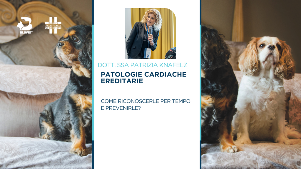 evento malattie cardiache ereditarie senza qr