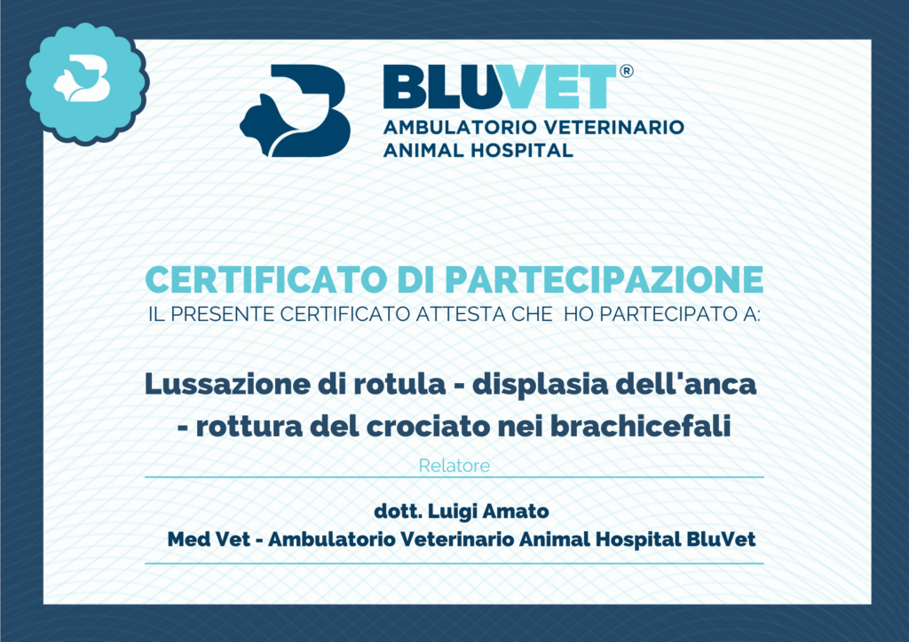 lussazione di rotula   displasia e rottura del crociato certificato