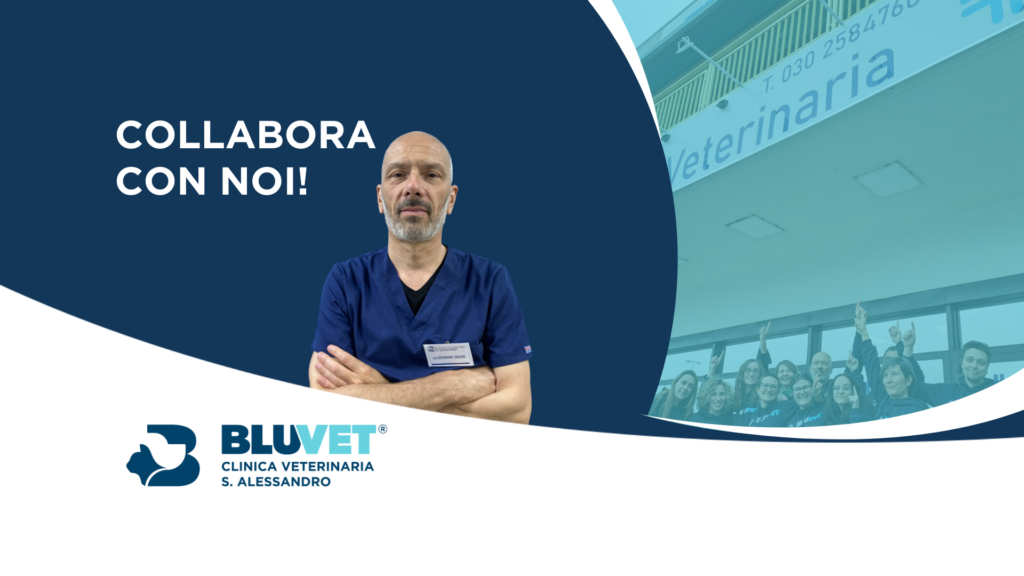 NUOVA JOB clinica santalessandro corretta