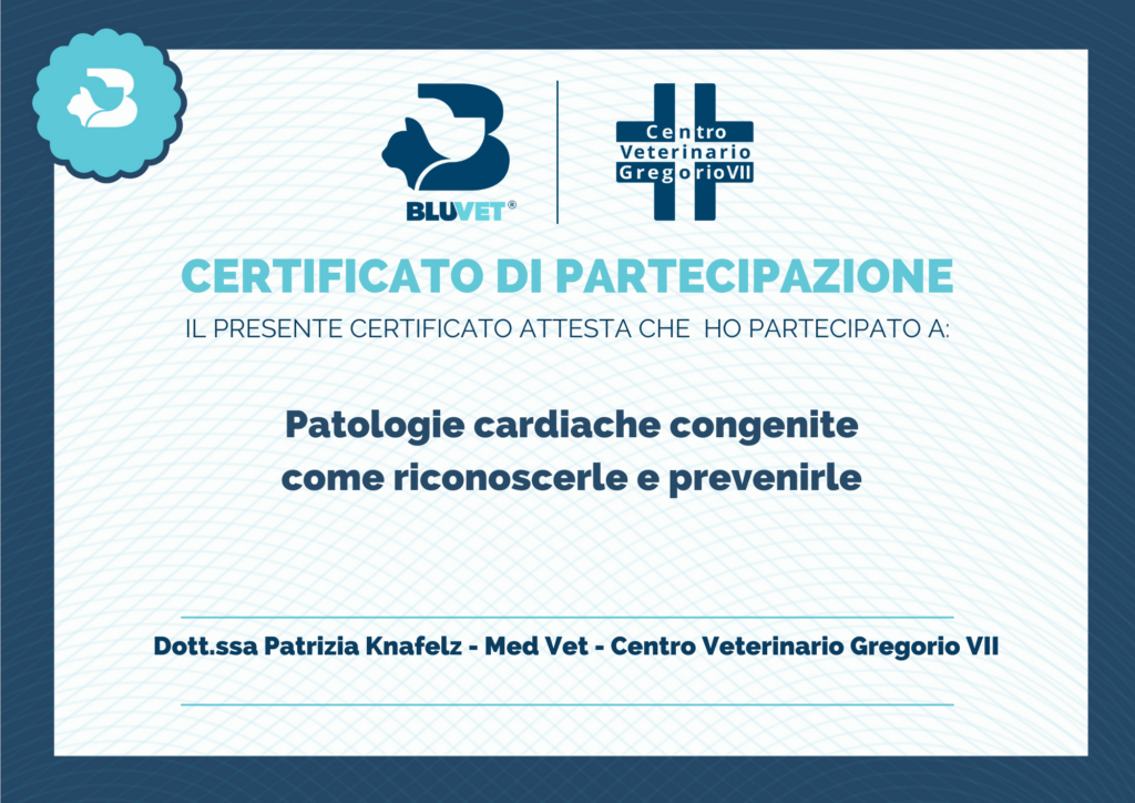 certificato di partecipazione patologie congenite