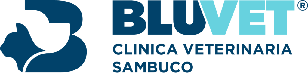 total bluvet sambuco