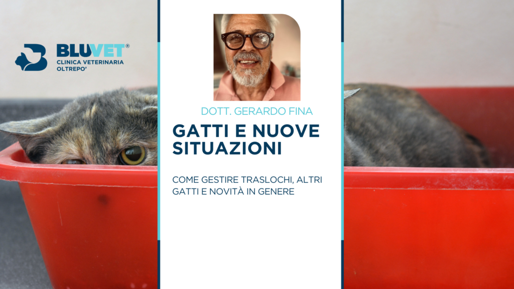 GERARDO FINA COME GESTIRE LE NOVITà EVENTO FB