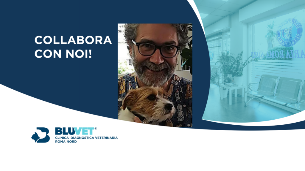NUOVA JOB dignostca veterinaria