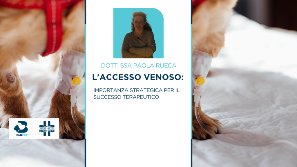 importanza strategica per il successo terapeutico copertina facebook